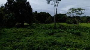 Foto 9-11-24, 10 13 37 a. m.